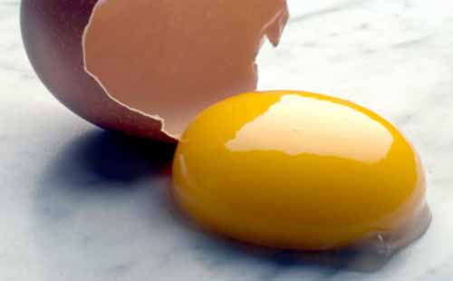 Ăn gì giúp trứng phát triển tốt để tăng khả năng thụ thai?