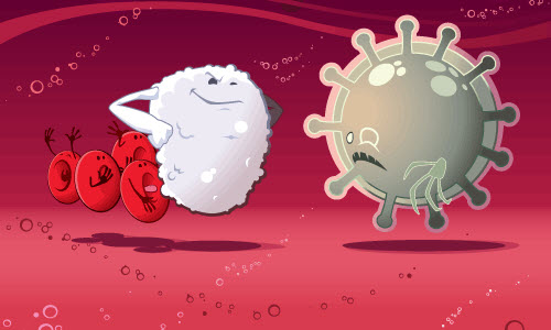 Những vi khuẩn gây hại sẽ xâm nhập cơ thể ngay khi có điều kiện thích hợp