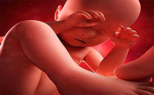 Viêm vùng chậu khi mang thai có thể ảnh hưởng đến thai nhi