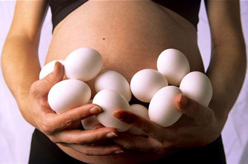 Hoạt động và chức năng buồng trứng