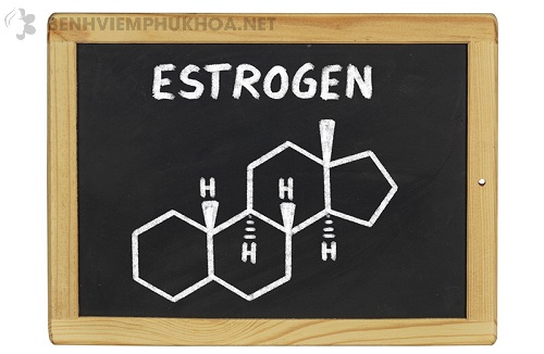 Estrogen là một nội tiết tố đặc trưng của nữ giới