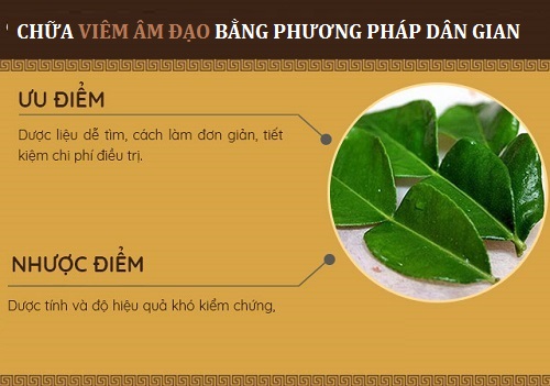 Chữa viêm âm đạo bằng biện pháp dân gian chỉ mang tính chất hỗ trợ điều trị