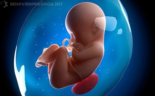 Xử lý polyp cổ tử cung gây chảy máu khi mang thai