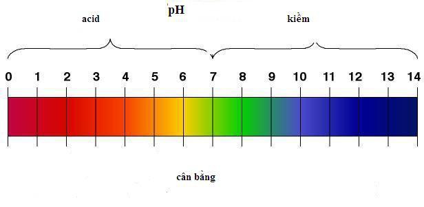 Cân bằng độ pH trong âm đạo